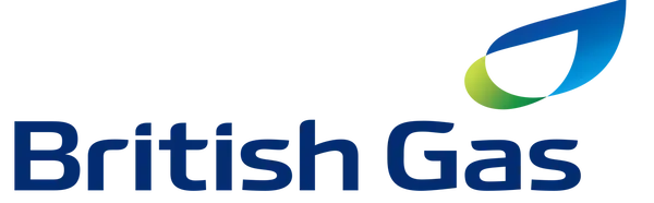 British Gas case study showing revenue growth metrics